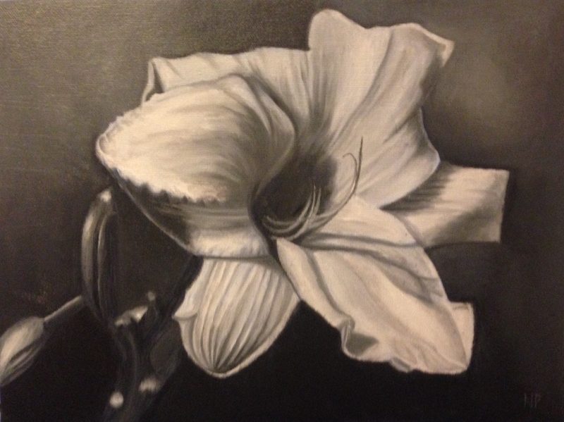 Amaryllis, oil, 2017